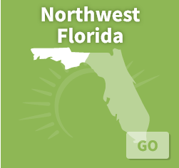 Click here to visit the Florida ARVC website!